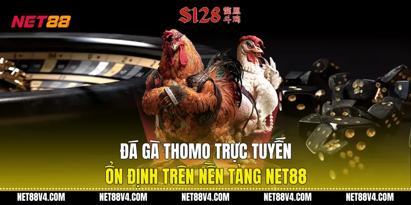 Đá Gà Thomo Trực Tuyến Ổn Định Trên Nền Tảng NET88