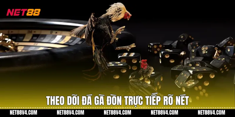 Theo dõi Đá gà đòn trực tiếp rõ nét