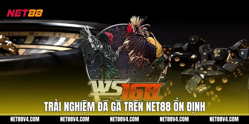 Trải nghiệm Đá gà trên NET88 ổn định